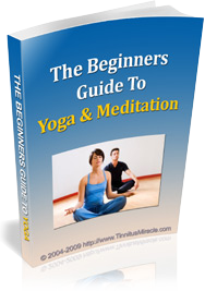 The Beginners Guide To Yoga and Meditation